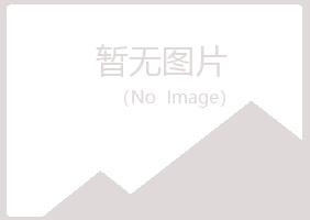 北流晓夏咨询有限公司